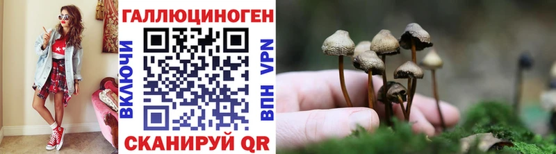 Купить где  Приволжский  Псилоцибиновые грибы Magic Shrooms