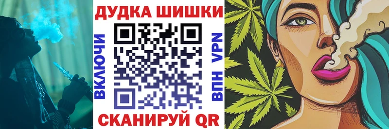 Конопля гибрид  Купить  Приволжский 